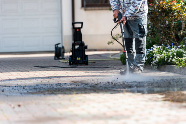 Best Roof Pressure Washing  in Moorhead, MN